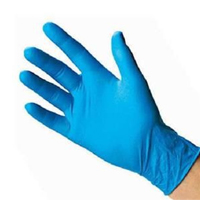 Powder Free Nitrile Gloves